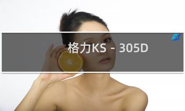 格力KS－305D(关于格力KS－305D的简介)图片