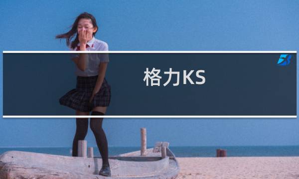 格力KS-0502Db(关于格力KS-0502Db的简介)图片