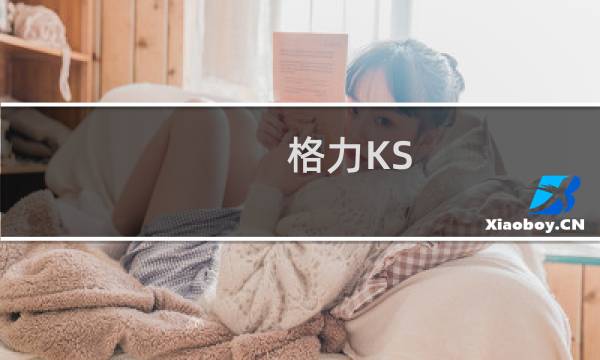 格力KS-0503D(关于格力KS-0503D的简介)