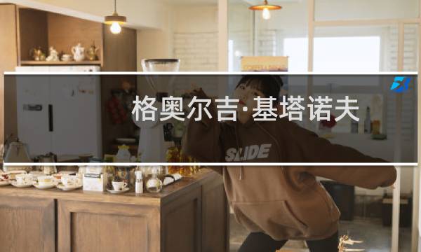 格奥尔吉·基塔诺夫(关于格奥尔吉·基塔诺夫的简介)