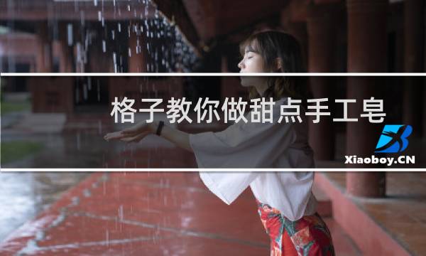 格子教你做甜点手工皂(关于格子教你做甜点手工皂的简介)图片