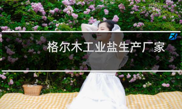 格尔木工业盐生产厂家图片