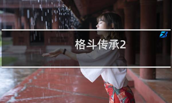 格斗传承2(关于格斗传承2的简介)