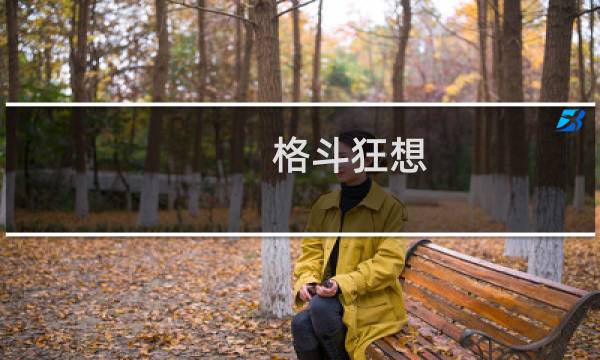 格斗狂想(关于格斗狂想的简介)图片