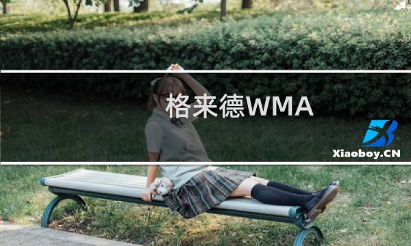 格来德WMA-02IM-01(关于格来德WMA-02IM-01的简介)
