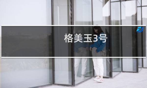 格美玉3号(关于格美玉3号的简介)