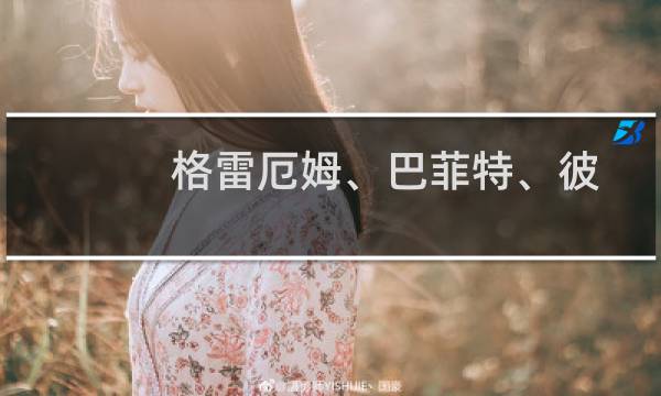 格雷厄姆、巴菲特、彼得·林奇投资智慧大全集(关于格雷厄姆、巴菲特、彼得·林奇投资智慧大全集的简介)