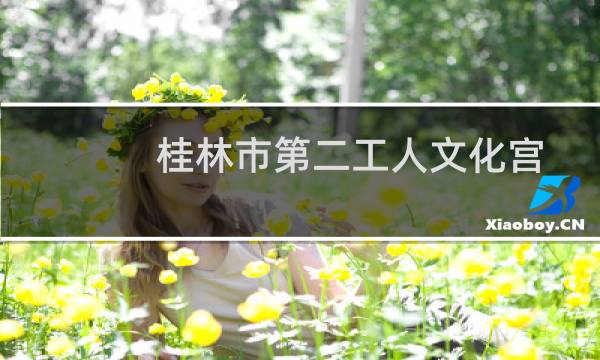 桂林市第二工人文化宫培训学校(关于桂林市第二工人文化宫培训学校的简介)