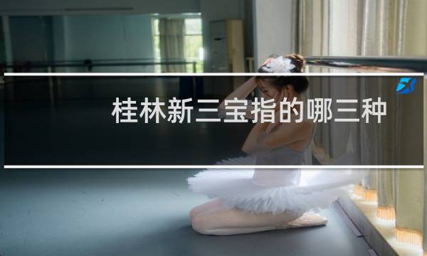 桂林新三宝指的哪三种（桂林新三宝是什么）