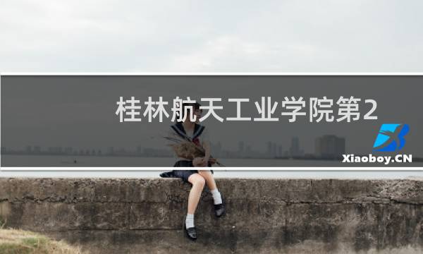 桂林航天工业学院第206组(中外合作办学或国际项目)有哪些专业 招生多少人