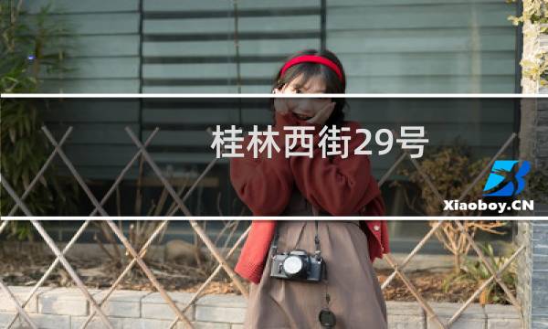 桂林西街29号(关于桂林西街29号的简介)