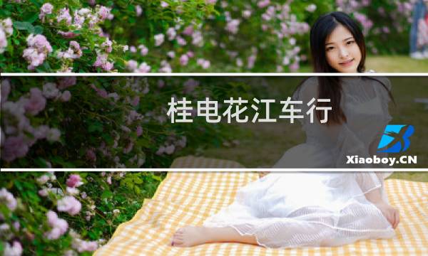桂电花江车行(关于桂电花江车行的简介)图片