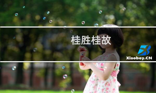 桂胜桂故(关于桂胜桂故的简介)图片