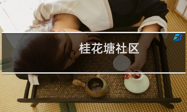 桂花塘社区(关于桂花塘社区的简介)