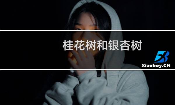 桂花树和银杏树