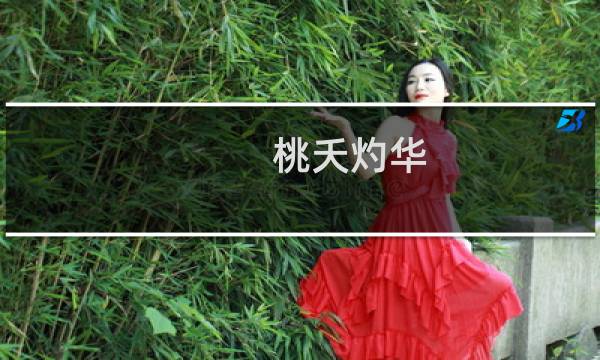 桃夭灼华(关于桃夭灼华的简介)