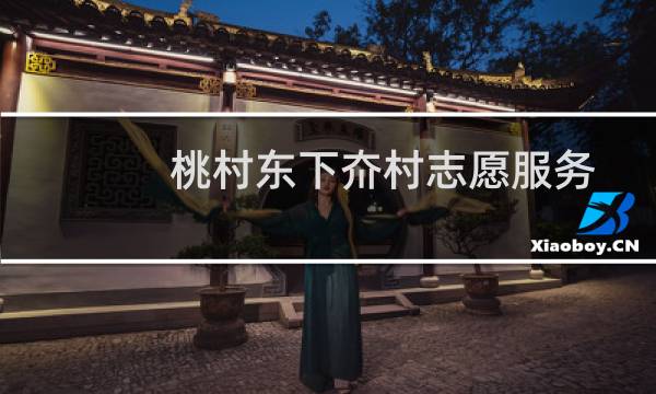 桃村东下夼村志愿服务(关于桃村东下夼村志愿服务的简介)