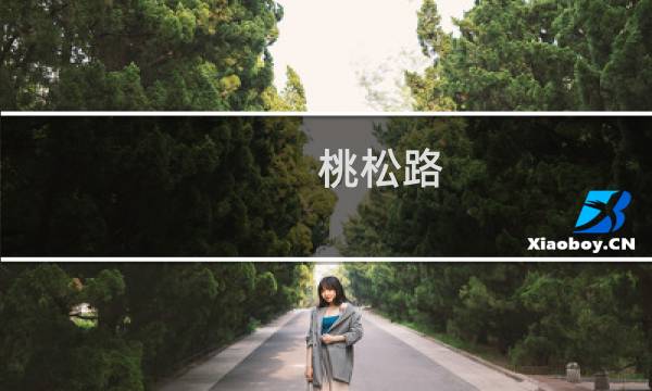 桃松路(关于桃松路的简介)图片