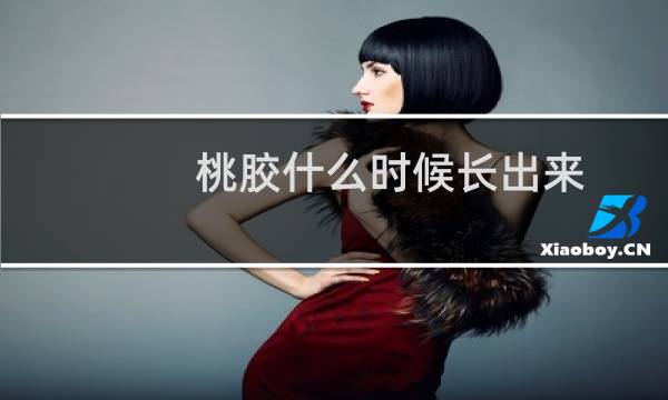 桃胶什么时候长出来（桃胶什么时候吃最好）图片