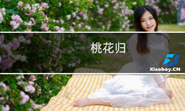 桃花归(关于桃花归的简介)
