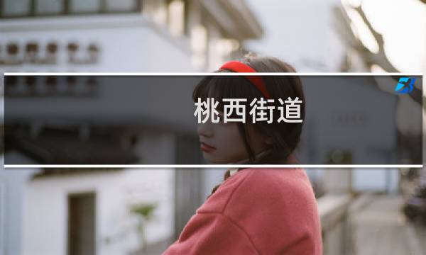 桃西街道(关于桃西街道的简介)