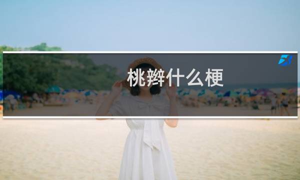 桃辫什么梗