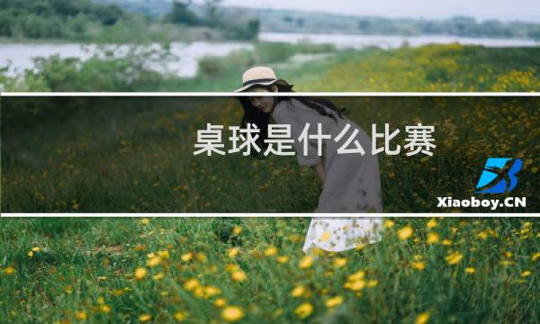 桌球是什么比赛