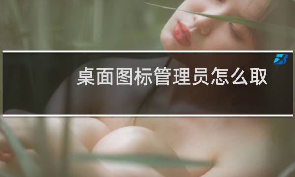桌面图标管理员怎么取消（桌面图标管理软件）图片