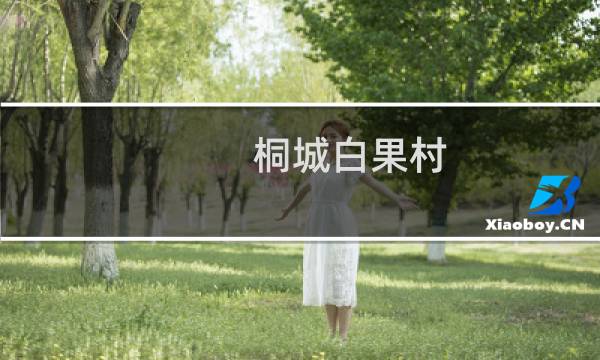 桐城白果村