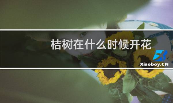 桔树在什么时候开花