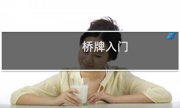 桥牌入门