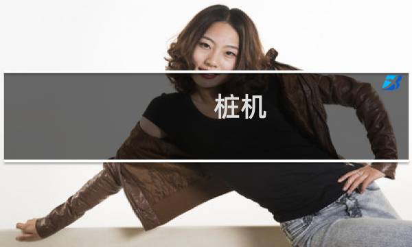 桩机图片