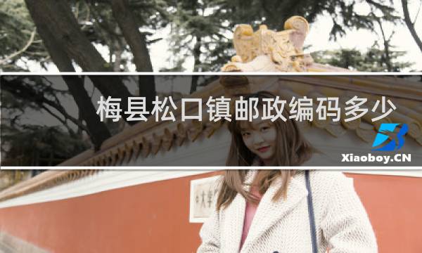 梅县松口镇邮政编码多少