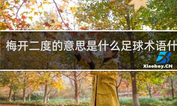 梅开二度的意思是什么足球术语什么梗