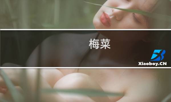 梅菜（惠城区特产）