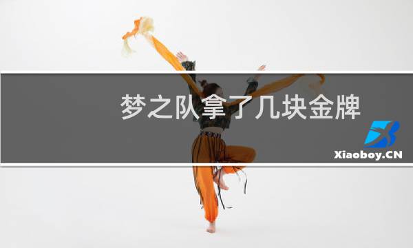 梦之队拿了几块金牌