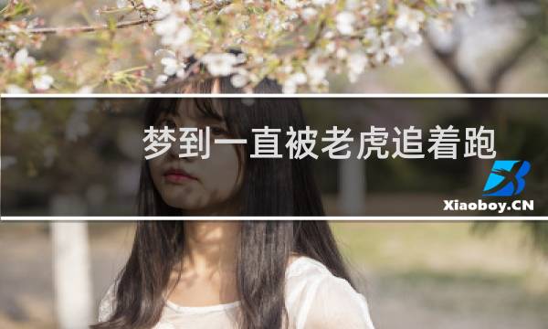 梦到一直被老虎追着跑（做梦被老虎追着跑什么意思）图片