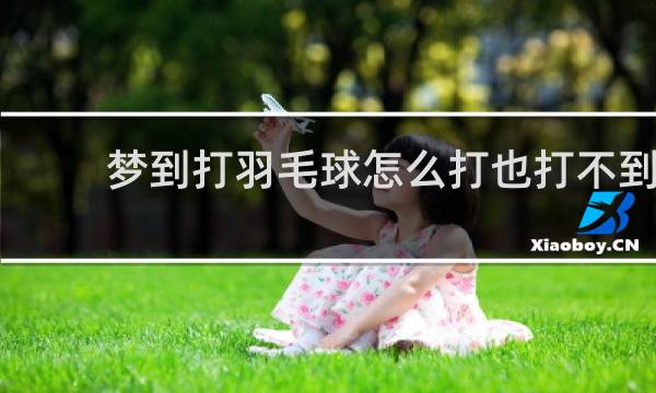 梦到打羽毛球怎么打也打不到