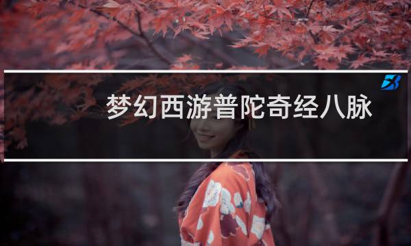 梦幻西游普陀奇经八脉怎么点