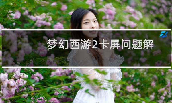 梦幻西游2卡屏问题解决办法