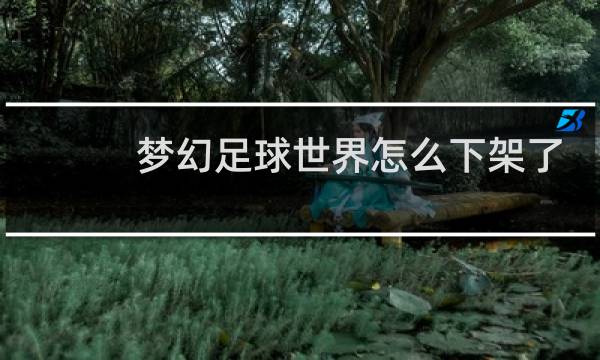 梦幻足球世界怎么下架了