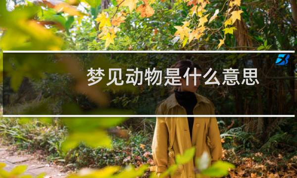 梦见动物是什么意思？