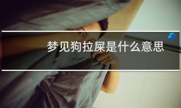 梦见狗拉屎是什么意思？