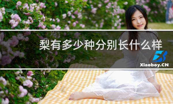 梨有多少种分别长什么样