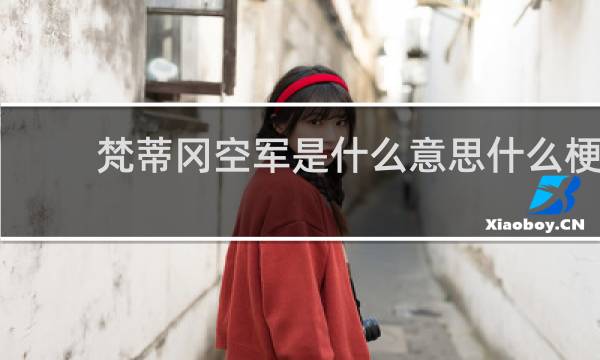 梵蒂冈空军是什么意思什么梗