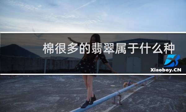 棉很多的翡翠属于什么种