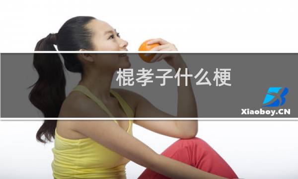 棍孝子什么梗