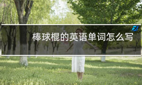 棒球棍的英语单词怎么写