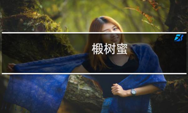 椴树蜜（饶河县特产）图片