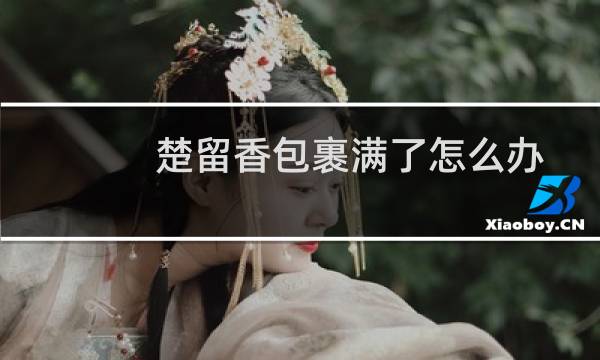 楚留香包裹满了怎么办，楚留香扩充包裹攻略